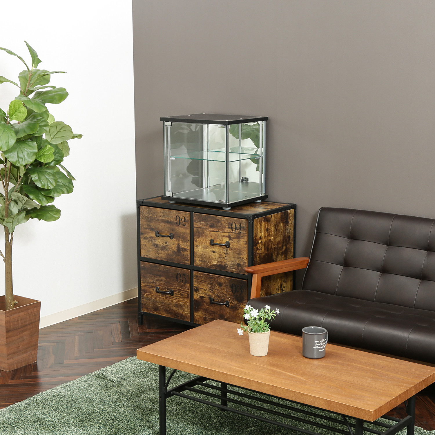 C/D:99474] ガラスコレクションボックス BK ｜ ORDERING SHOP