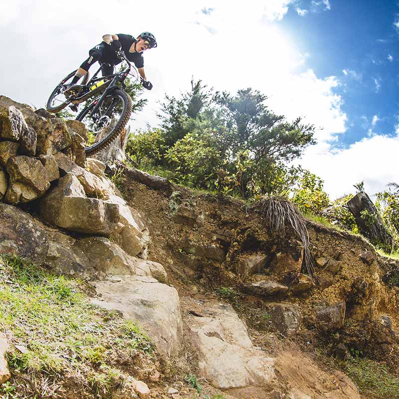 NEWTON-ニュートン- （ダウンヒル） | 株式会社フカヤ