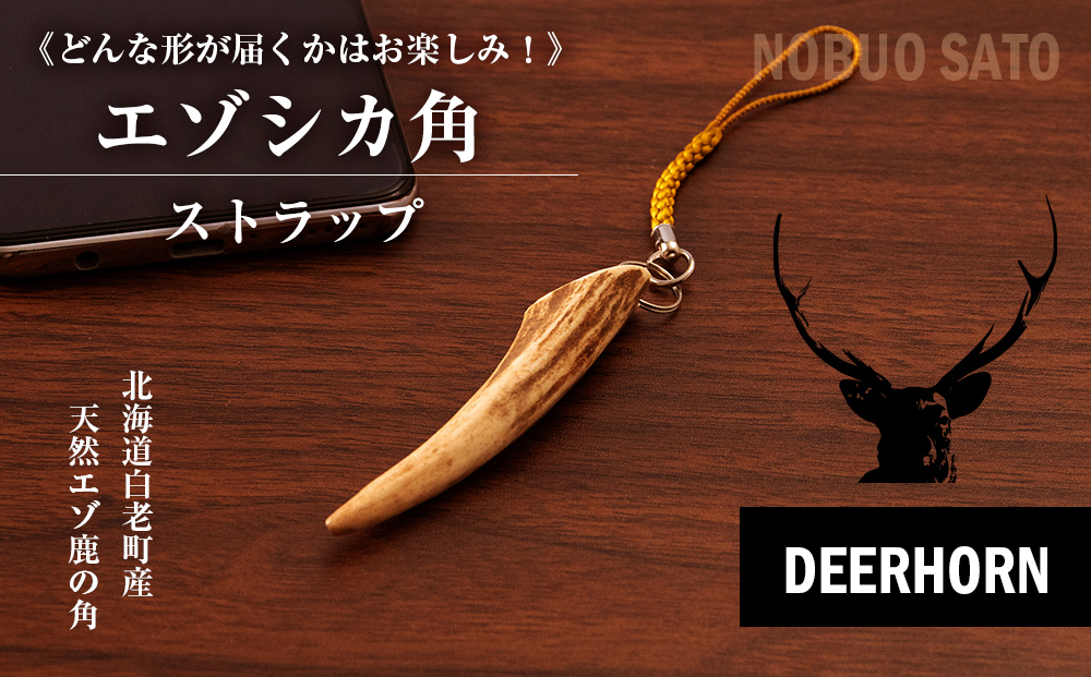 どんな形が届くかはお楽しみ！》 エゾシカ角ストラップ （角