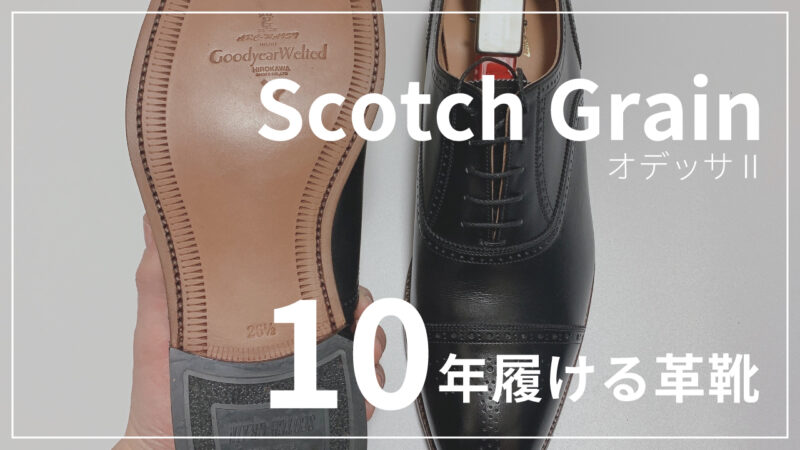 スコッチグレイン】オデッサ2を20代サラリーマンが評価してみた