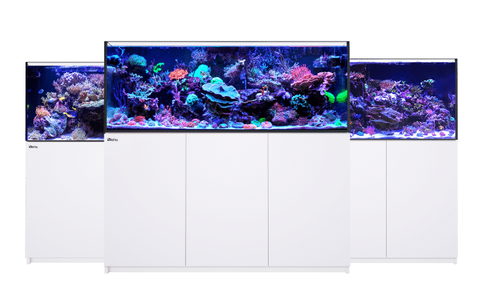 The All-new REEFER G2 モデル&仕様 - Red Sea