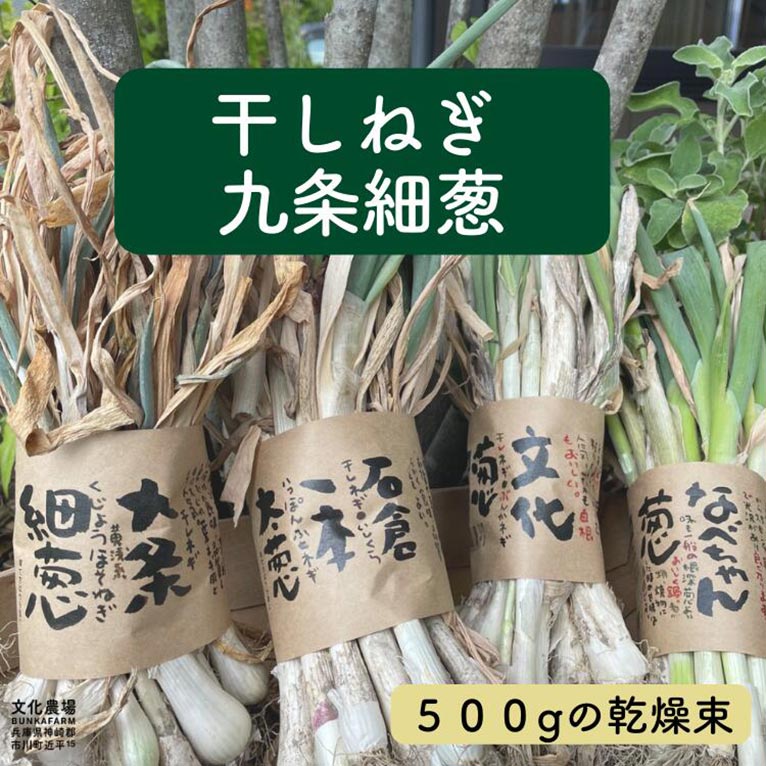 2024年7月25日～『2024年度分 干し葱苗販売』有限会社 文化農場