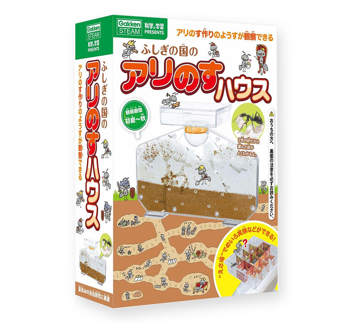 のぞいてみよう！ふしぎがいっぱいアリの国。 大人気のアリの飼育