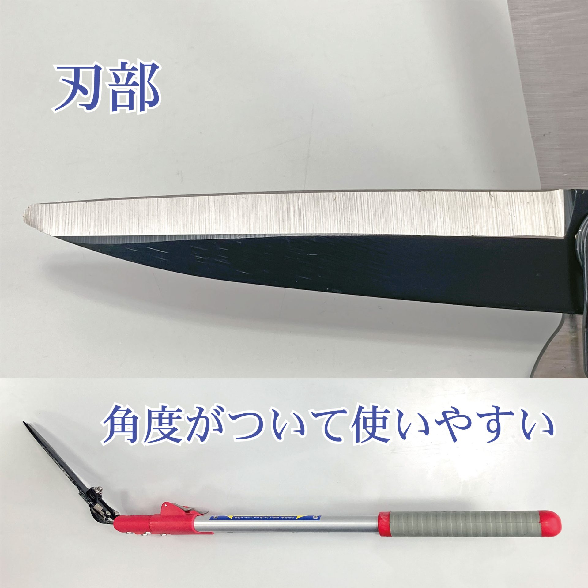 2036 - キンボシ株式会社