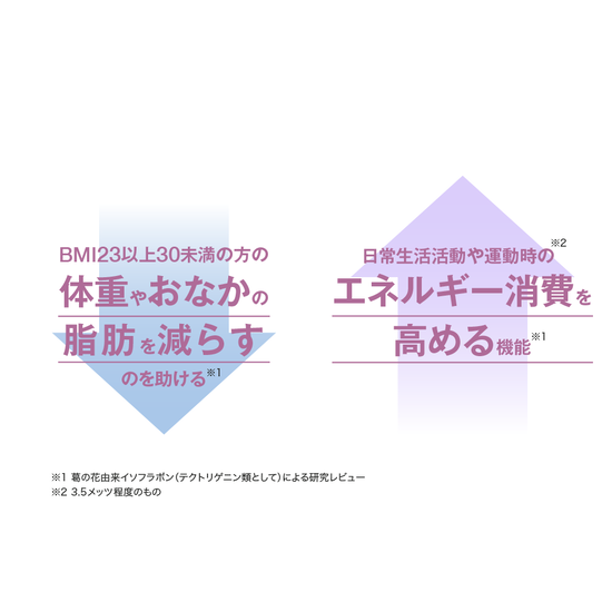 メタバリア葛の花イソフラボンEX | FUJIFILM ビューティー&ヘルスケア