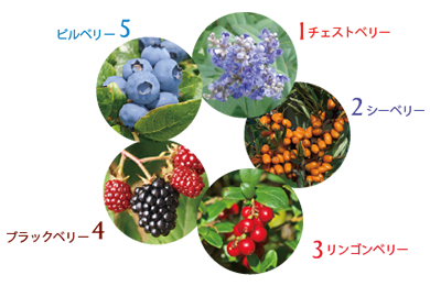 AURAGE グレイシャスクリーム｜ヘルスケア俱楽部