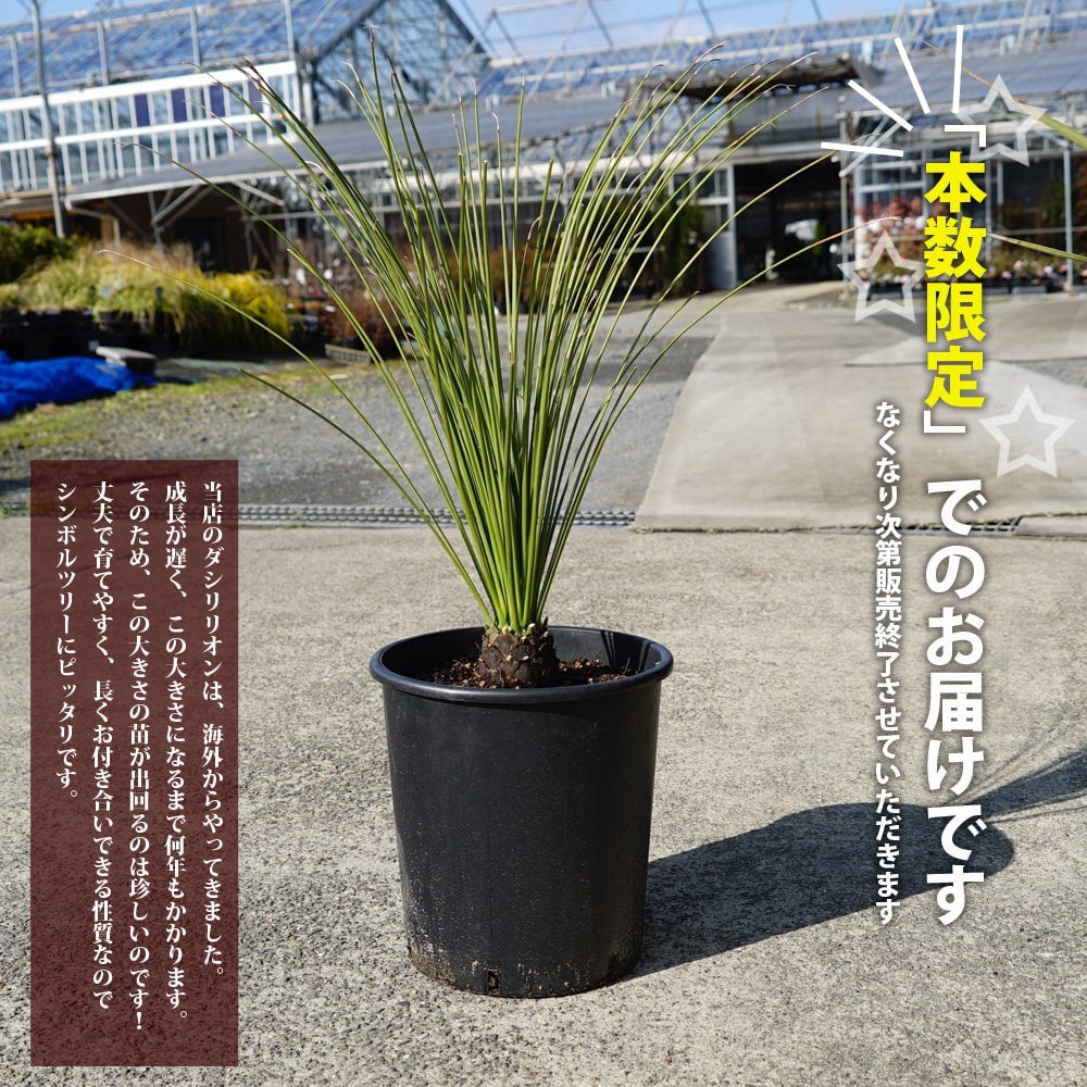 000000057382-02.jpg?size=l&w=