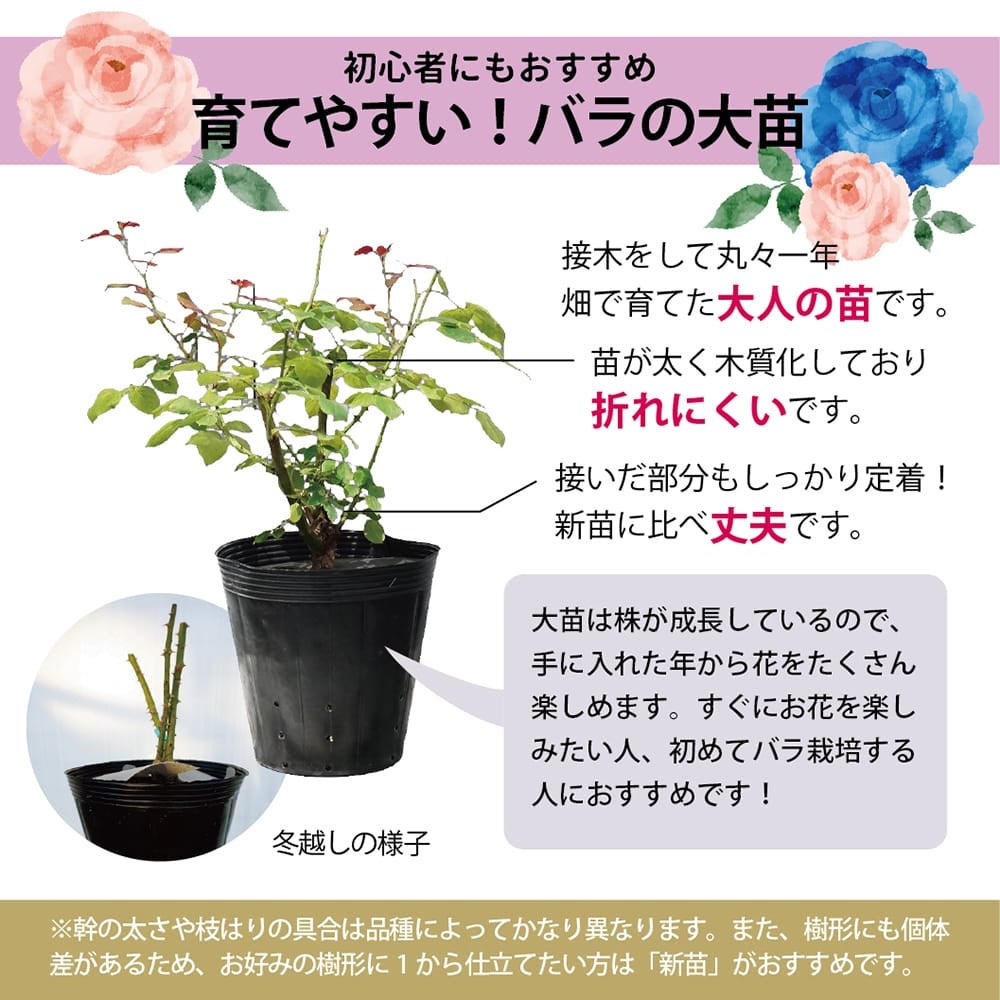 000000030637-04.jpg?size=l&w=