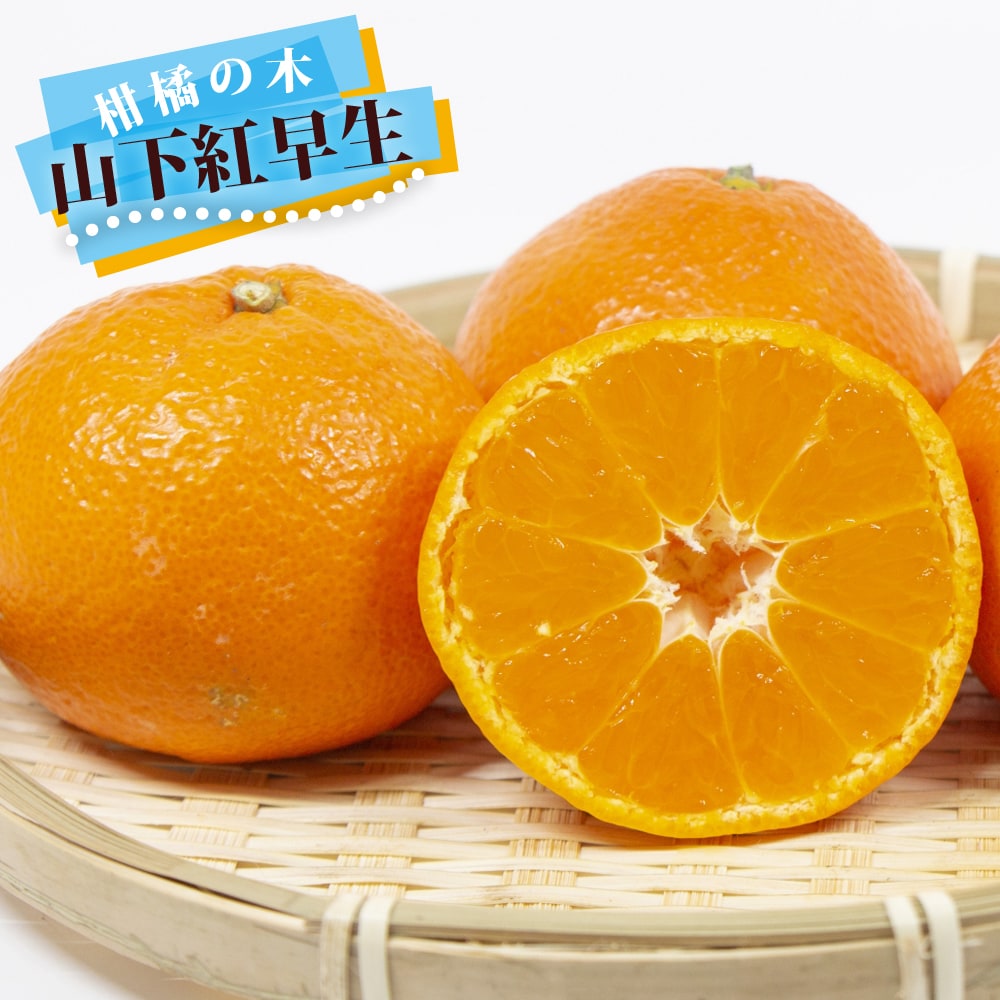 kazuページA.混合梱包品小原紅早生3年生1本＋「みはや1本」2本