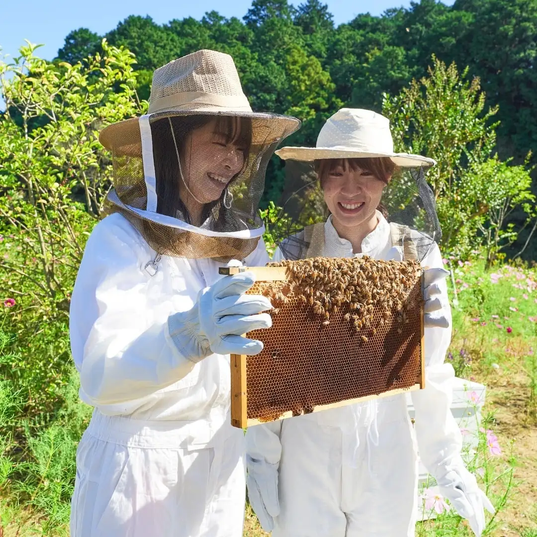 ミニダイヤモンドBOX テーブルハニー2本セット（アカシア＆オレンジ