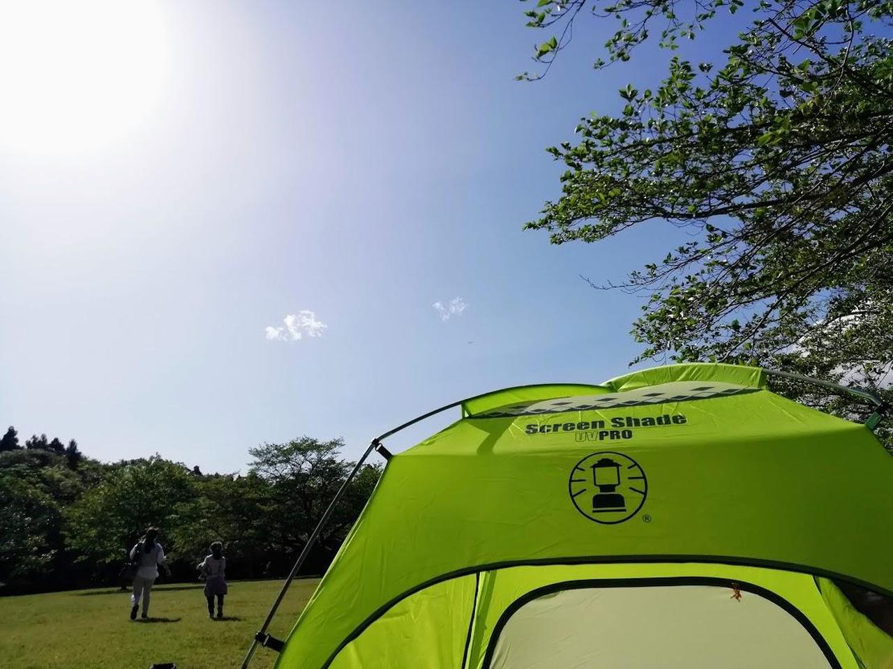レビュー】高機能のコールマン『スクリーンシェード』は夏のアウトドア
