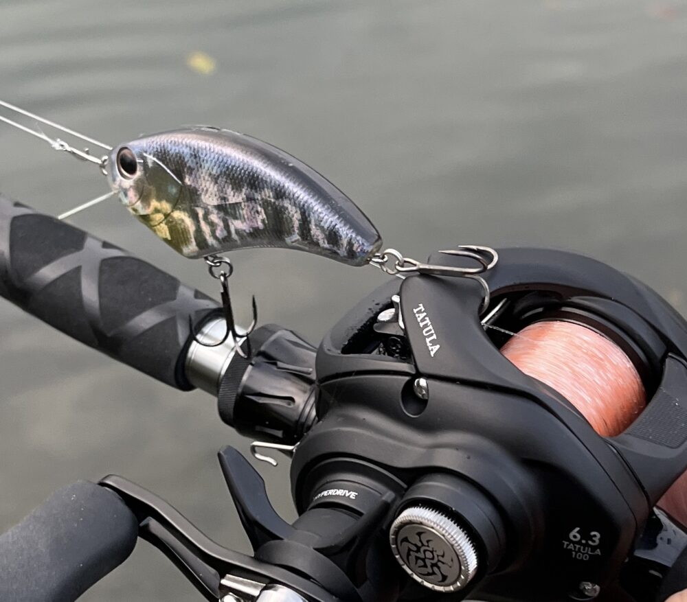 24タトゥーラTW 100 インプレ】ハイコスパのヘビーバーサタイル機