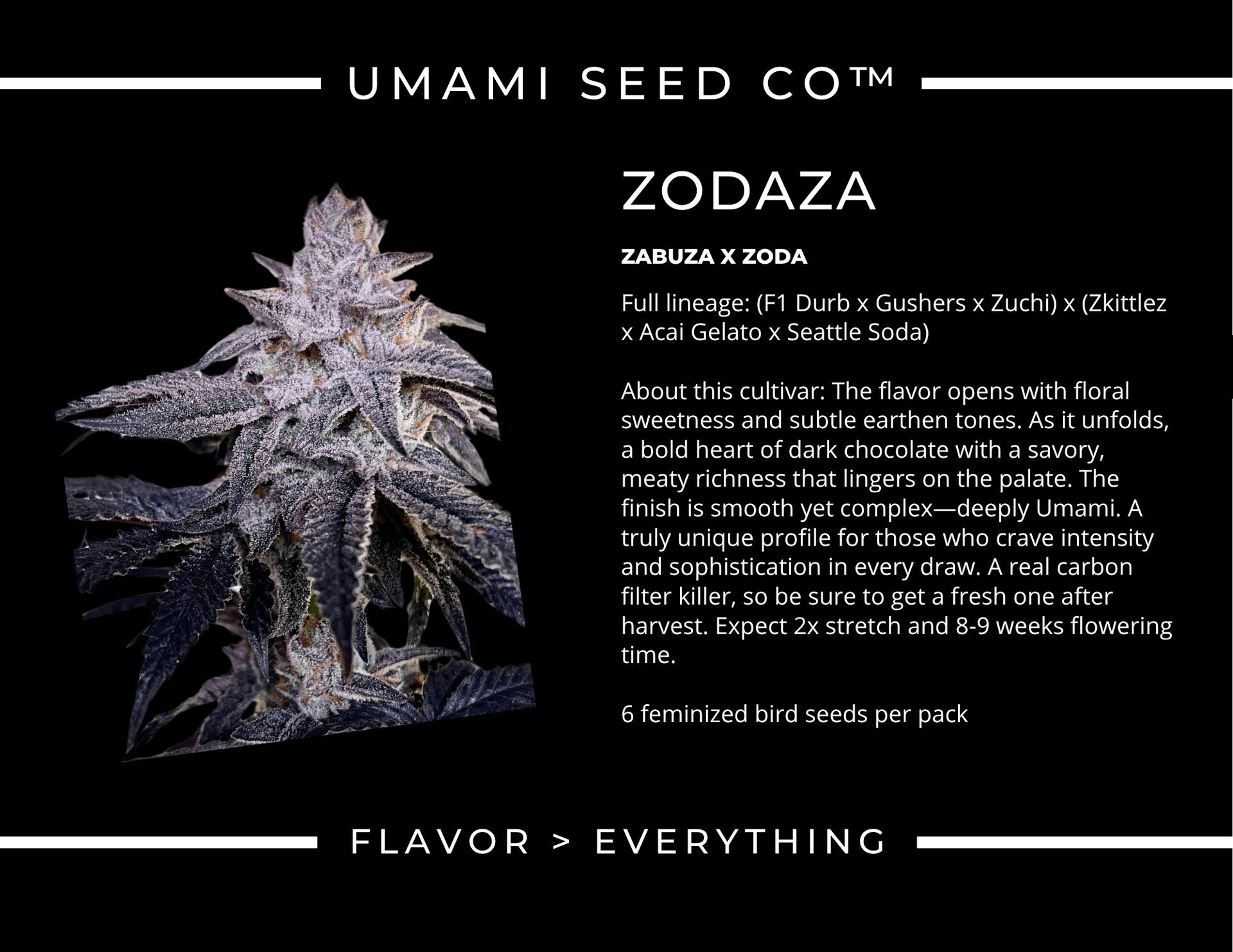 Umami Seeds - Zodaza - Heritage Seed Bank