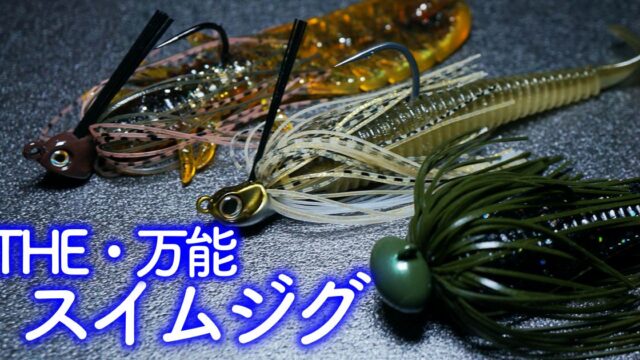 スイムジグの特徴と使い分け！様々な状況に合わせられる万能ルアー
