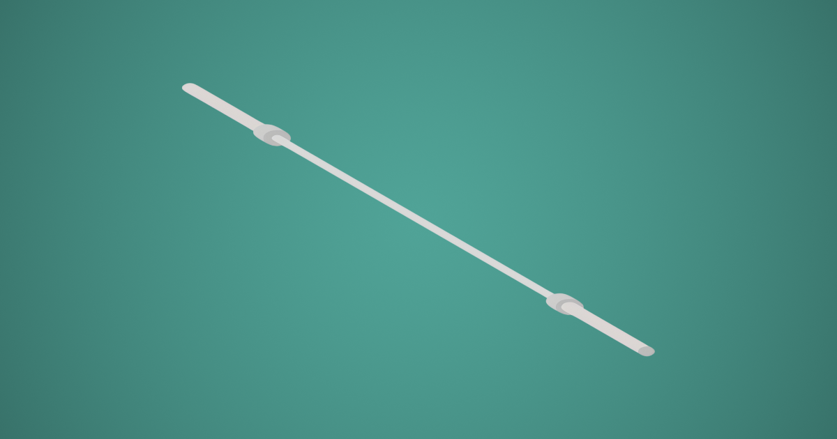 ROGUE FITNESS「20KGオハイオパワーバーステンレススチール」 | ホーム