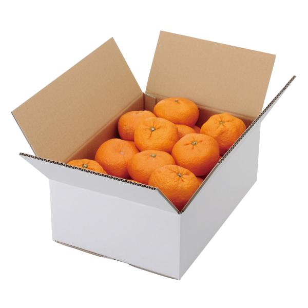 ヤマニパッケージ A式みかん白無地5kg(60入) L-2232 | 資材の激安販売