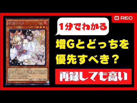 遊戯王】何回再録しても高い灰流うらら｜Gとどっちを優先する？【1分で