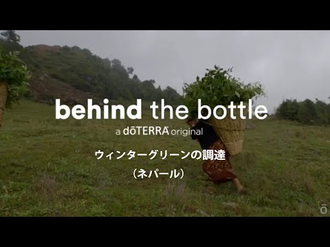 ウィンターグリーン - doTERRA TIMES