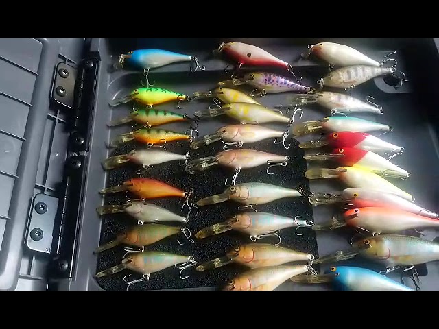 ルアー紹介＃113】ラパラ スーパーシャッドラップ rapala super