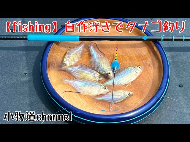 自作浮きでタナゴ釣り 【タナゴ釣り】 トップ付タナゴ浮き 自作浮き