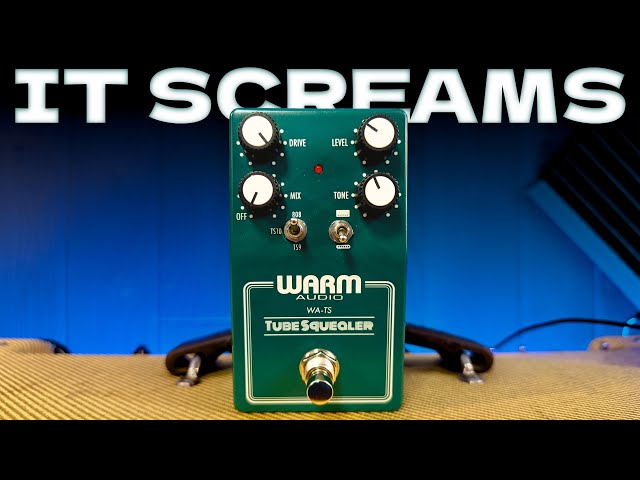 Warm Audio Tube Squealer WA-TS - YouTube