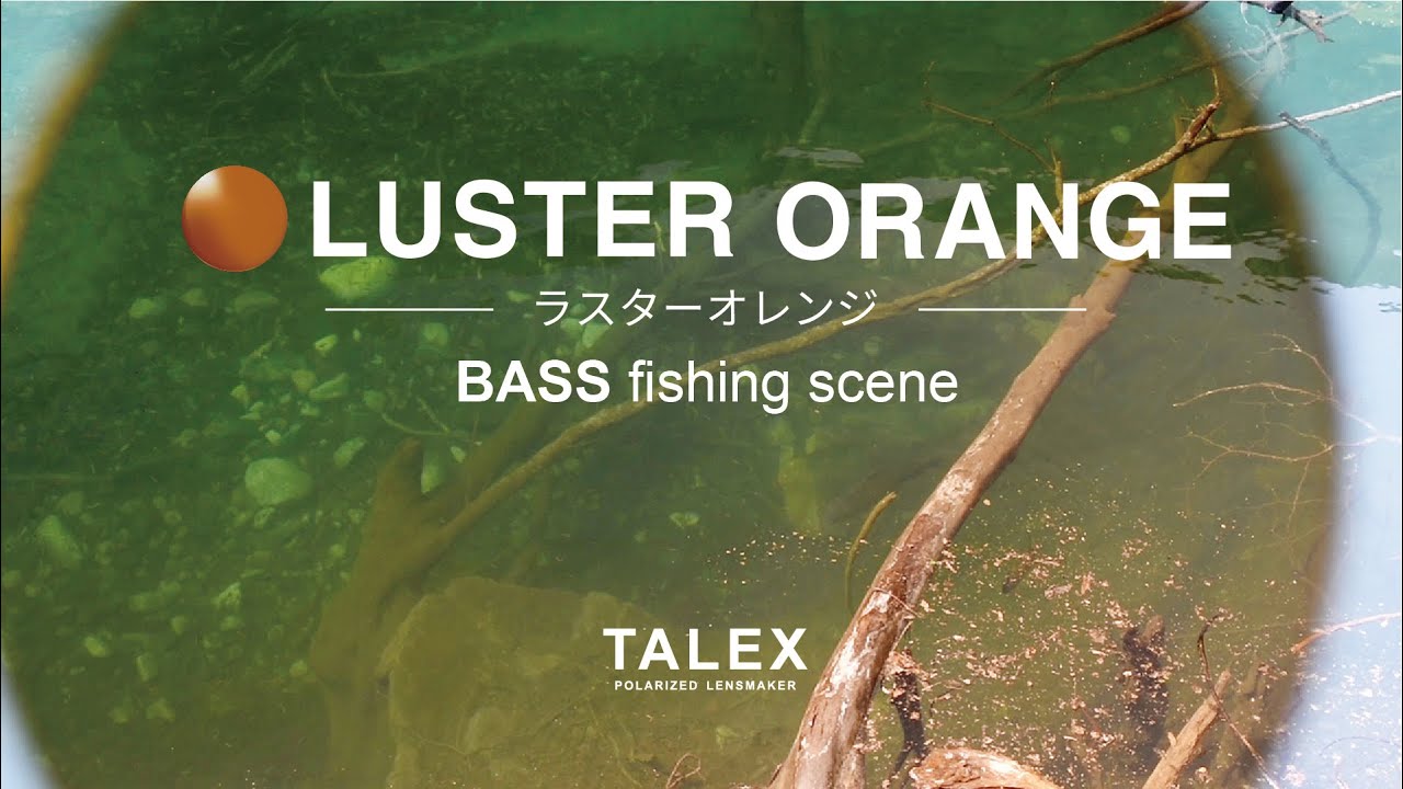 ラスターオレンジの見え方｜バス編【TALEX公式】 - YouTube