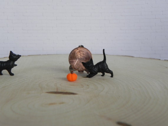 Miniature Black Cats, Halloween Miniature, Miniature Kittens