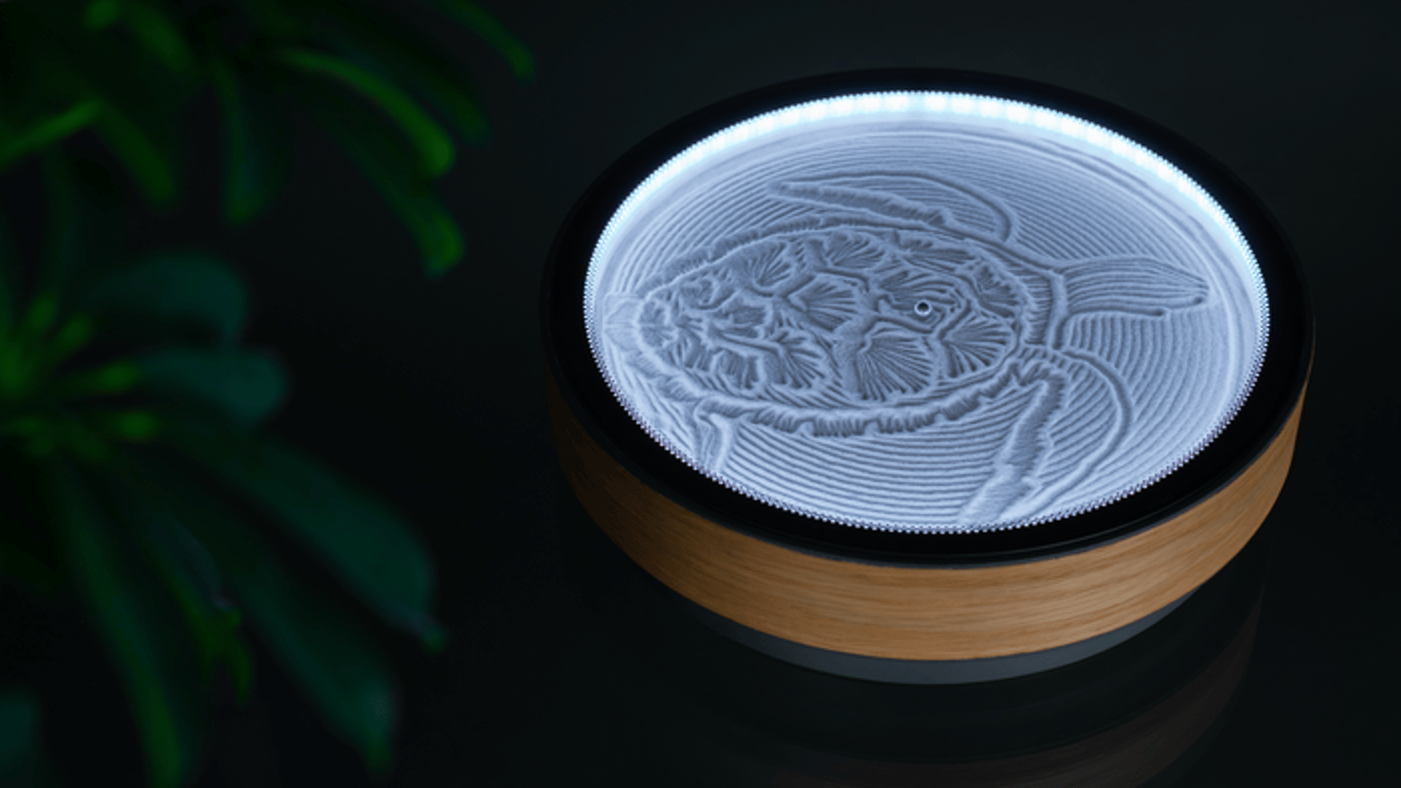 Oasis Mini by Oasis Design — Kickstarter