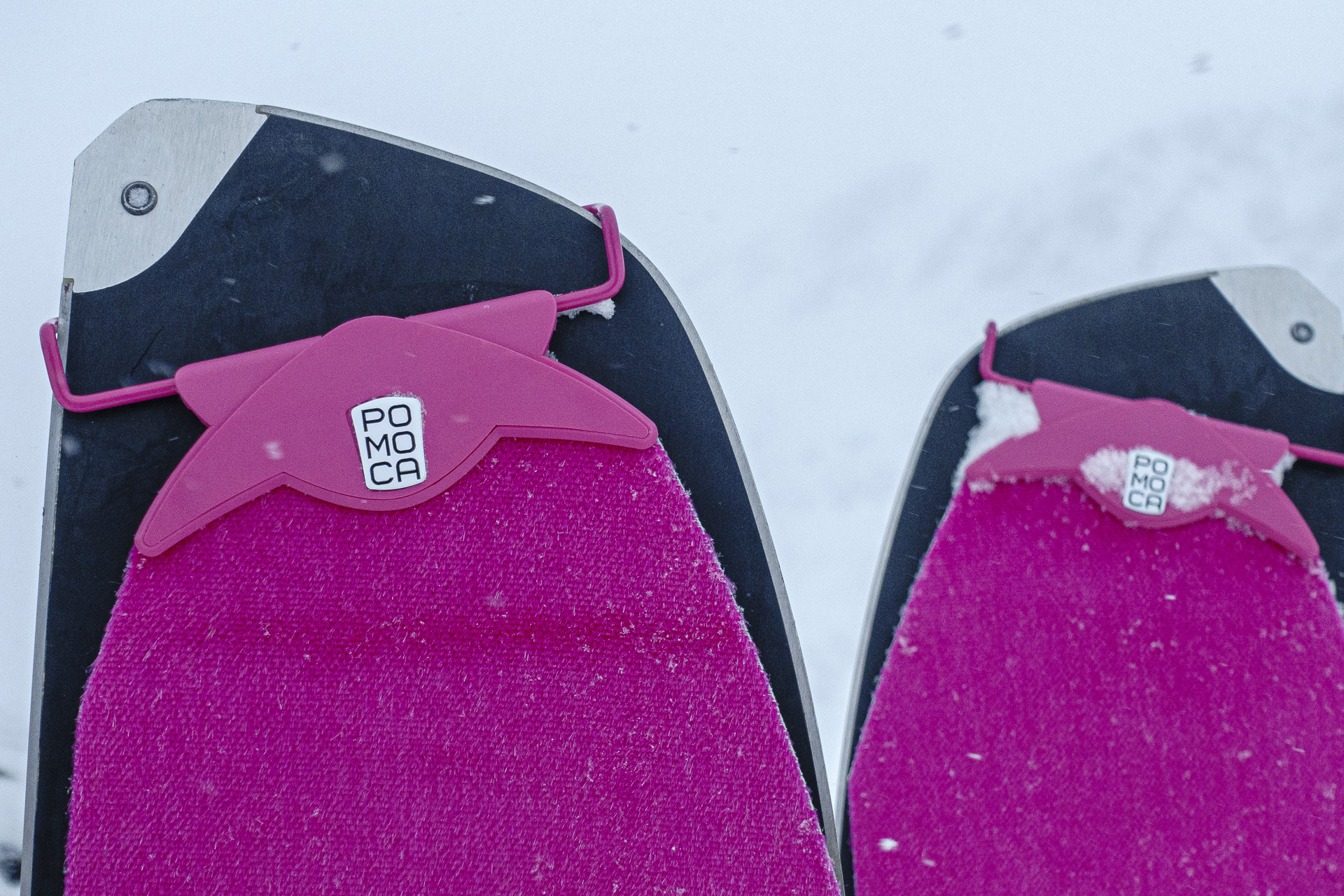 Pomoca Free Pro 2.0 Review - Black Sheep Adventure Sports