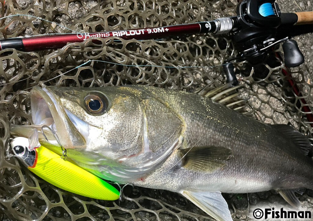 東京湾奥×「Beams RIPLOUT9.0M+」の可能性 | 釣りの総合ニュースサイト