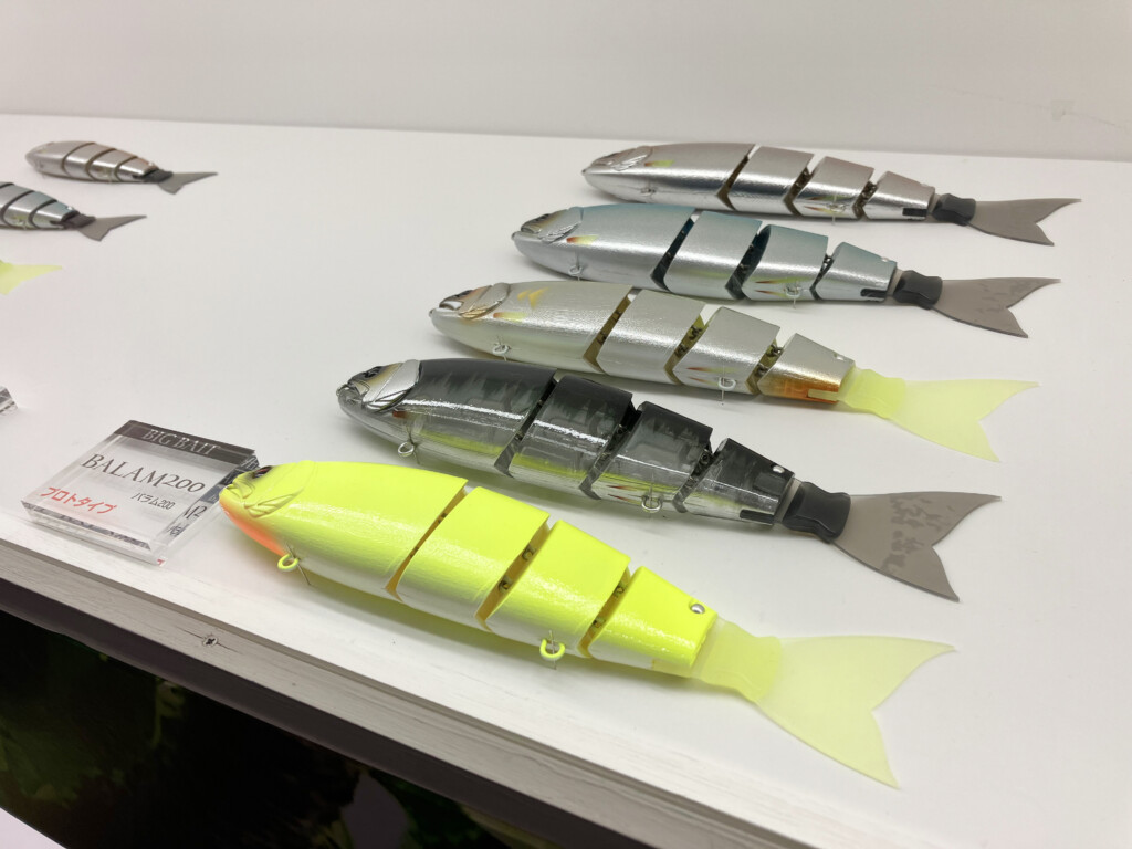 バラムから“200mmサイズ”が遂に！！ | 釣りの総合ニュースサイト