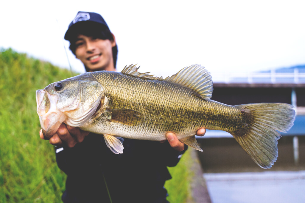 意外やノリーズ初…らしい!? イケてる撥水メッシュキャップ「レイン