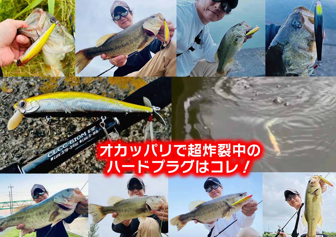 オカッパリ・バス釣りで超炸裂中のハードプラグはコレ！ | 釣りの総合