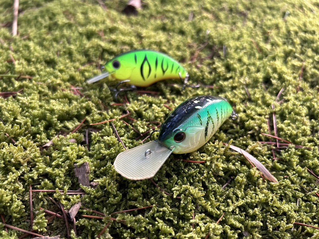 スピード命！】巻きモノde五三川攻略【波呂魁人】 | 釣りの総合