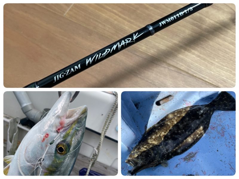 タックルインプレ~ テンリュウ ジグザムワイルドマーク JWM611B-1/3