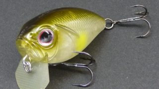 T*B様 ストーム ウィズバン WHIZ BANG T*B様 ストーム ウィズバン WHIZ