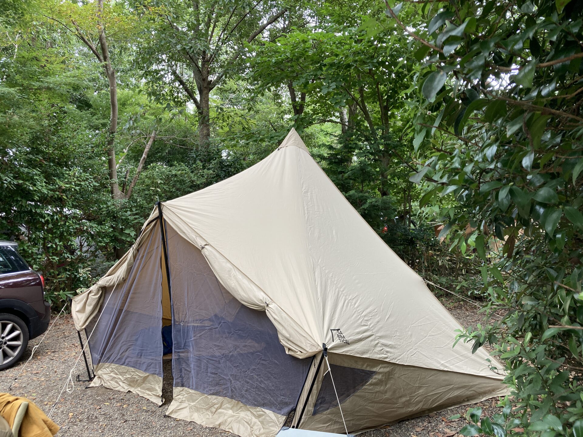 モーニンググローリーのグランドシート】 | MINIでファミキャン！