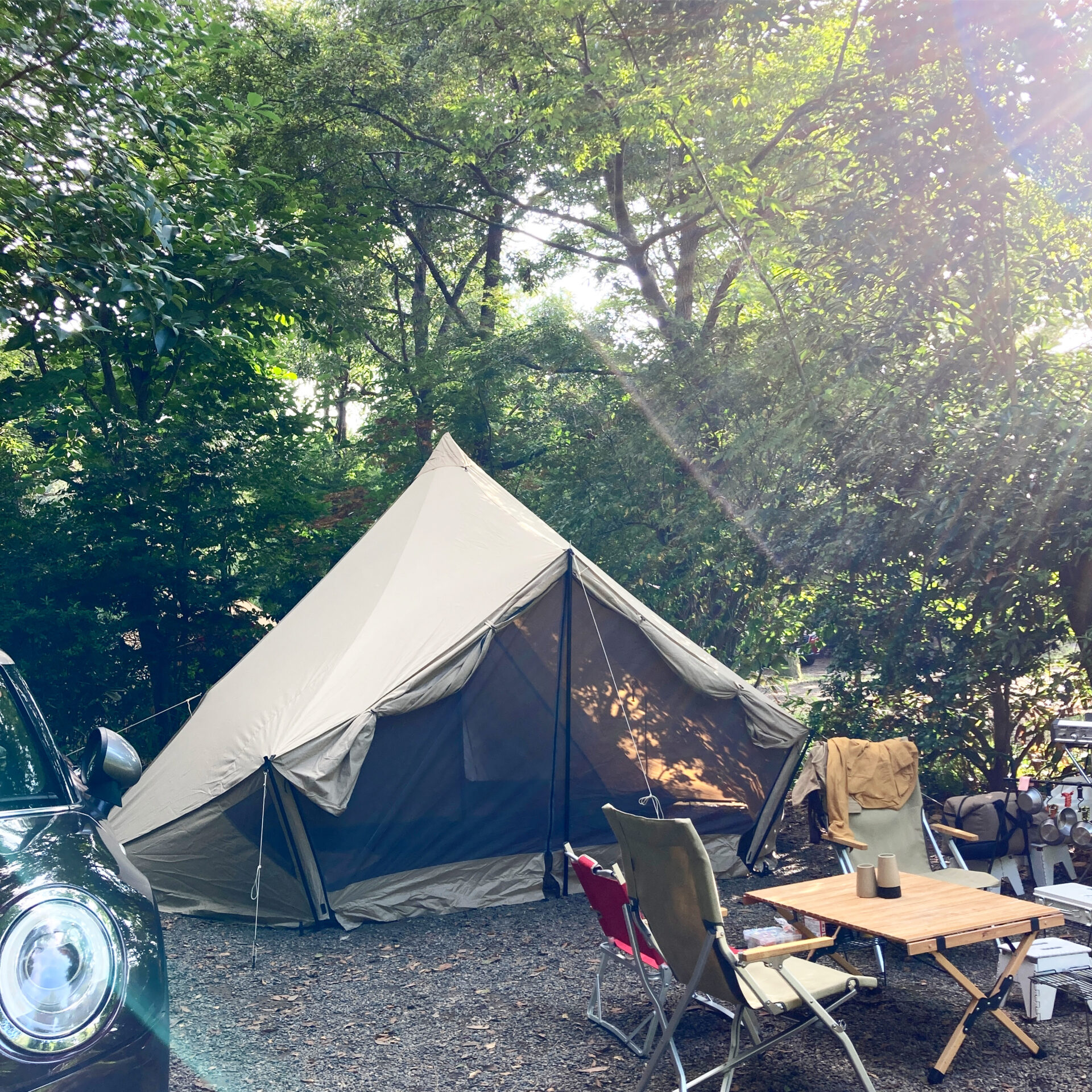 モーニンググローリーのグランドシート】 | MINIでファミキャン！