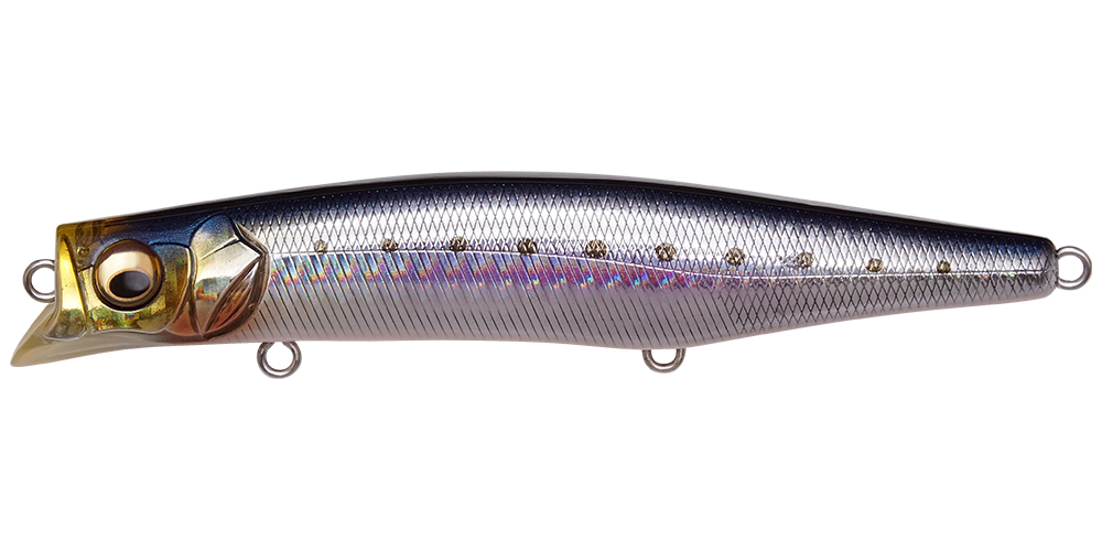 一段下を攻略】シーバス・青物・フラットフィッシュに人気「カゲロウ