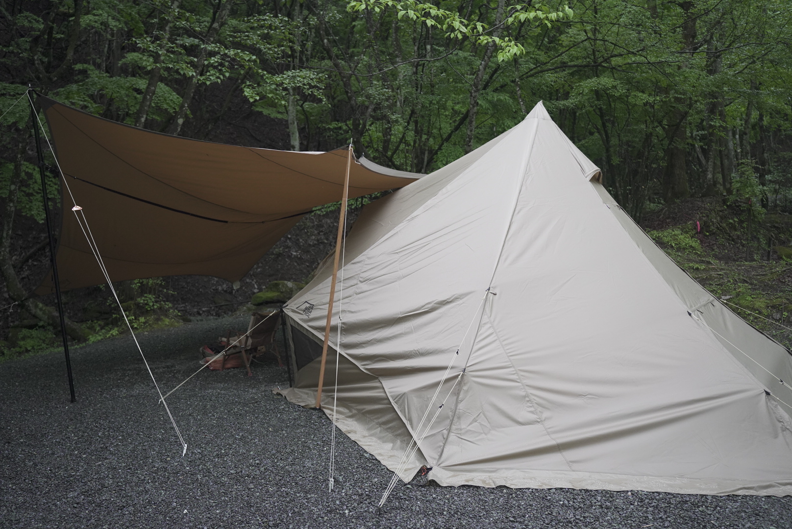 1年使用レビュー】サバティカルモーニンググローリーシンセティックを