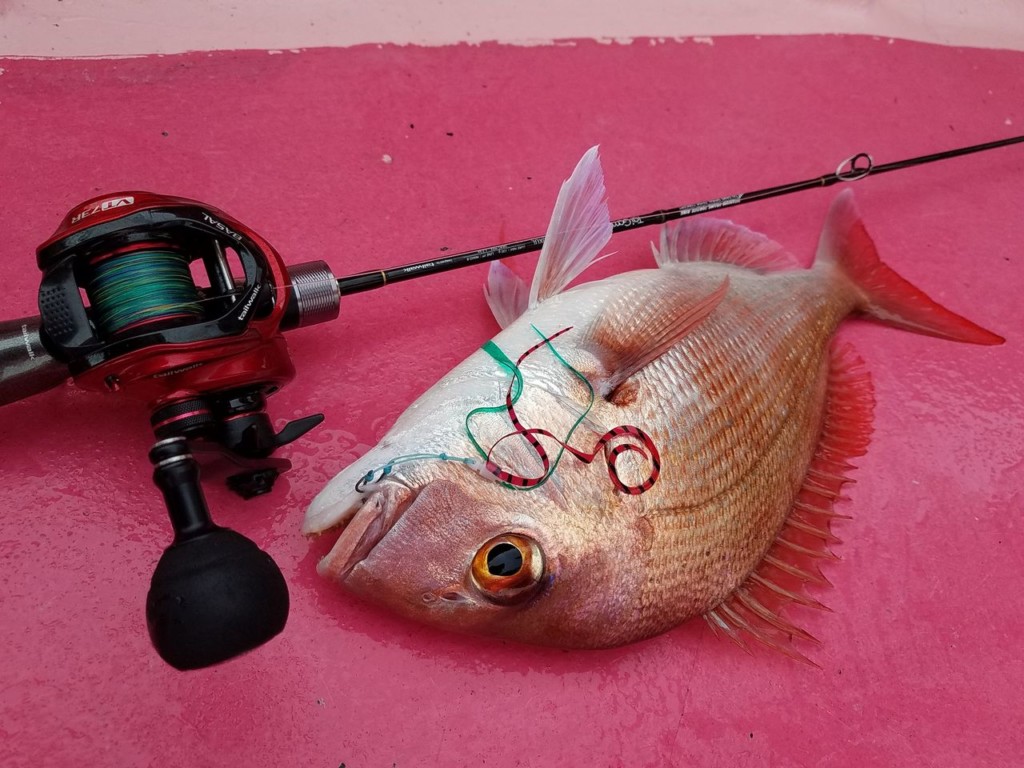 TAILWALK BASAL VT 73L ベイトリール TAILWALK BASAL VT 73L ベイト