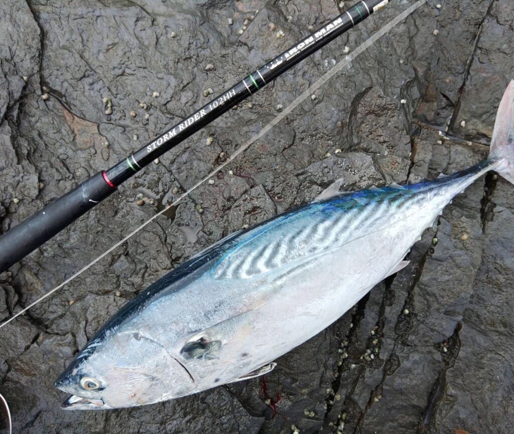 ショアから大物を狙うための本格スペック！ゼニスのショア