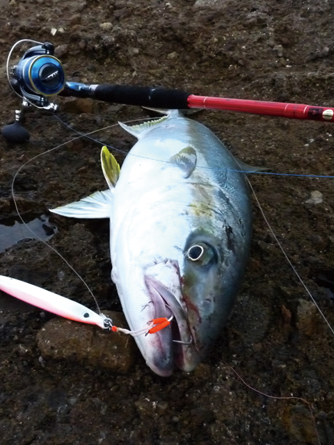 ショアから大物を狙うための本格スペック！ゼニスのショア
