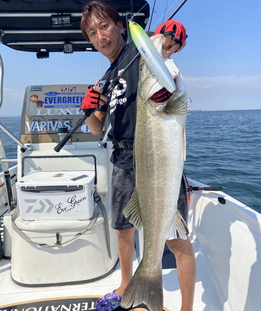 東京湾ビッグベイトシーバスゲーム】最近情報&おすすめビッグベイト