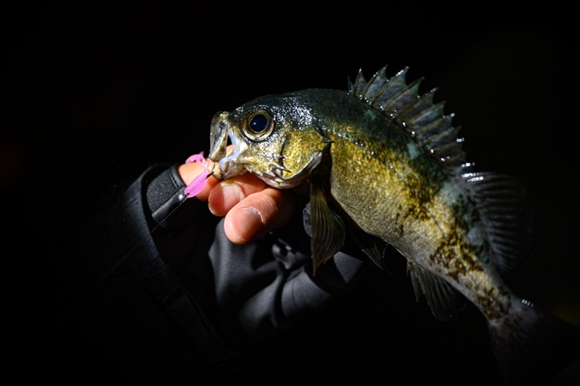 ロングバーサタイルロッド「ソルティセンセーション・スペリオル SPRS