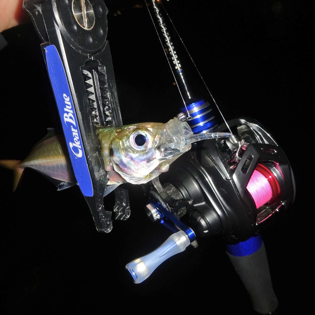 衝撃の使用感! 業界初アジング用ベイトシングルハンドル【DLIVE