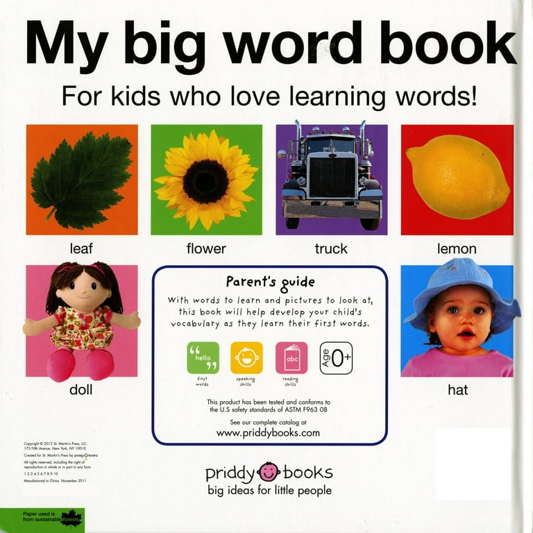 My Big Word Book (Board Book) - Walmart.com