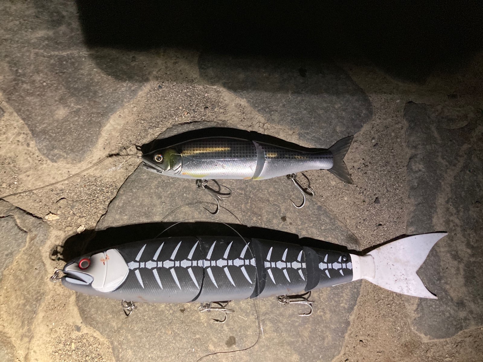 ドゥーの釣るまで帰りません！！悪魔が来る… | 釣具のポイント