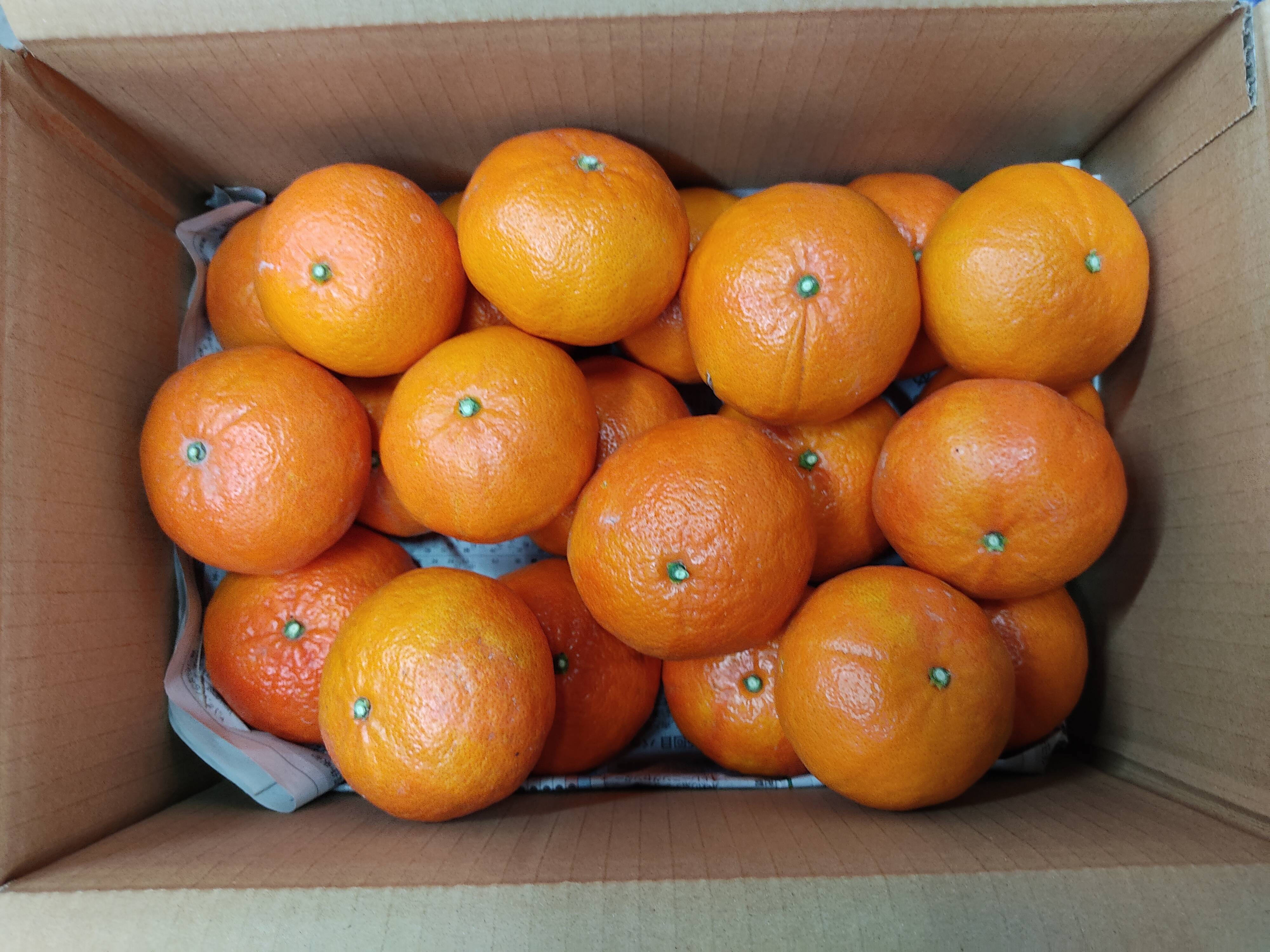 ラスト 希少品種. 紅ばえ 家庭用A・Bミックス 3K：愛媛県産の