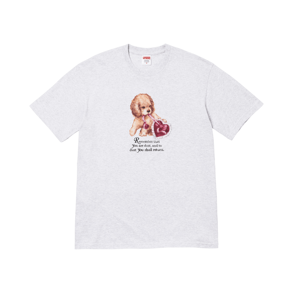 Buy Supreme Dust Tee 'Ash Grey' - FW25T72 ASH GREY | GOAT